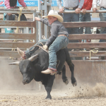 James Hahn tries to regain his balance on the back of a rank steer at Saturday’s rodeo. Avery Layne