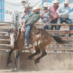 Burl Twitchell leaves the chute during Saturday’s Pioneer Day Rodeo. Avery Layne
