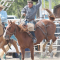 Saddle bronc rider Jasper Hatch maintains a grip on the bronc rein of the horse he is riding at the Lovell’s Days Rodeo. Avery Layne 