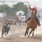Gus Loyning chases down a steer to rope at the Rodeo in Cowley on Saturday. Avery Layne
